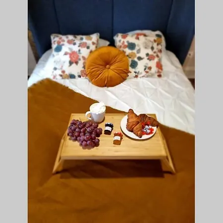 Arty Jaccuzi & Centre De Gamme Appartement Mulhouse
